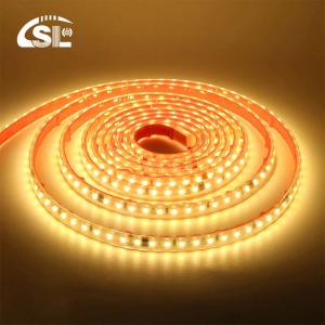 120 LEDs Flexible Tape Lamp with IC Home Lighting 110v/220V 2835 LED Strip Light