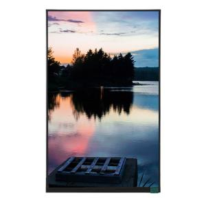 10.1 Inch TFT LCD Screen Display 800x1280 Resolution With MIPI Optional Touch