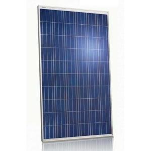 White Frame Polycrystalline PV Module 240 Watt With Self - Cleaning Function