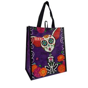 Durable Foldable Pp Shopping Bag With Personalized Handle