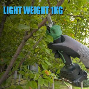 Custom Telescopic 21V Handheld Lithium Electric Pruning Shears