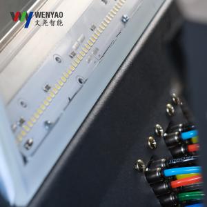 WENYAO 600mm Width Belt Color Sorter Optical Coffee Cherry BlueBerry Color