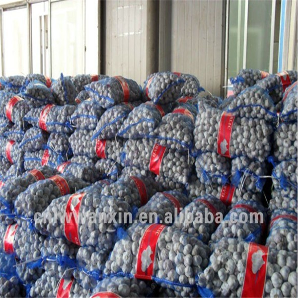 Quality GARLIC WITH MESHBAG PACKAGE for sale
