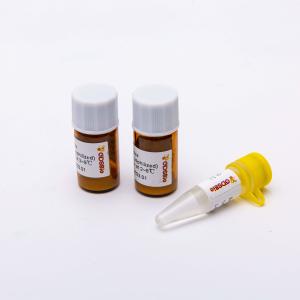 Lyophilized One Step RT PCR Master Mix DSPath 4X