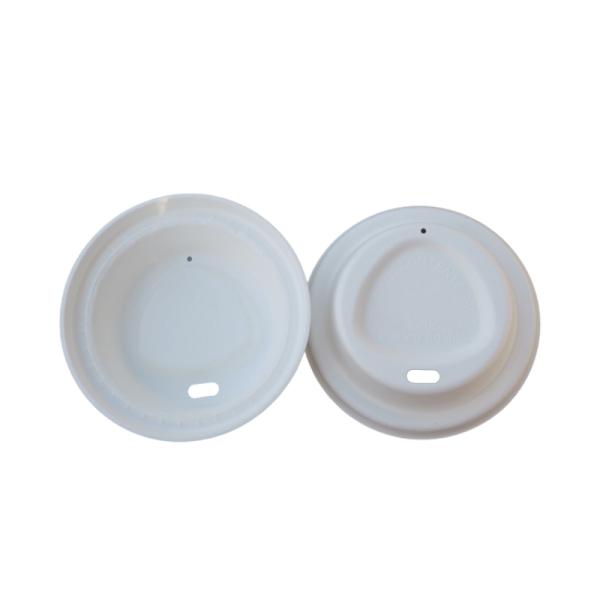 Molded Biodegradable Sugarcane Bagasse Disposable Cups With Lids