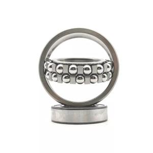 High Precision Self-Aligning Ball Bearing 2205 with 4400N Static Load and P6