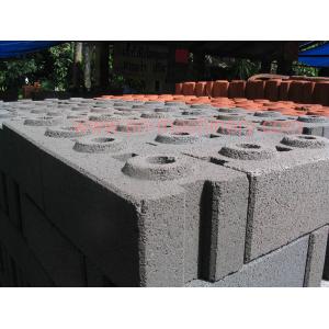 Hollow Block Paver Mini Block Making Machine for India Market 40-1 Interlocking