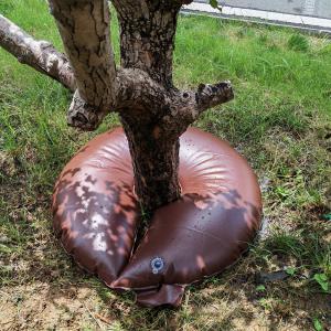 UV Resistant Water Saving Ring for Trees Shrubs and Plants 250-3500grams CE