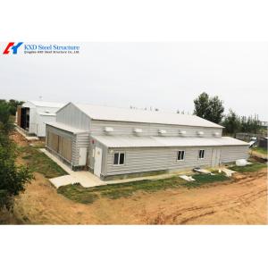 Prefab Steel Structure Poultry Farm Shed with Automated Feeding System
