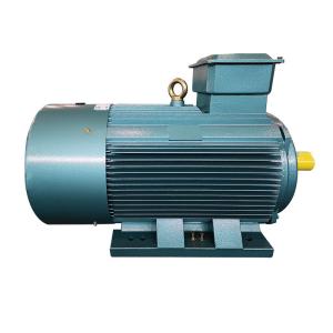 IP55 Low Voltage Induction Motor IEC General Purpose AC Motors