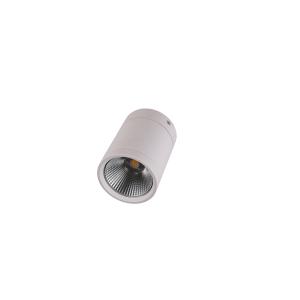 95mm size 30W ceiling surface mounted led downlights aluminum reflective cup LED