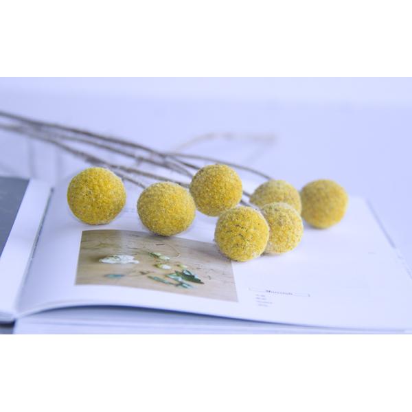 50cm Craspedia Globosa Air Drying Flowers