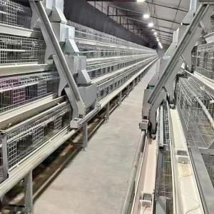 Automatic Layer And Broiler 3 Tiers 4 Tiers Poultry Cages For Layer Chickens