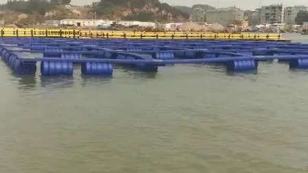 Square HDPE Floating Pontoon Fish Cage with 15 Years Lifespan and High Survival