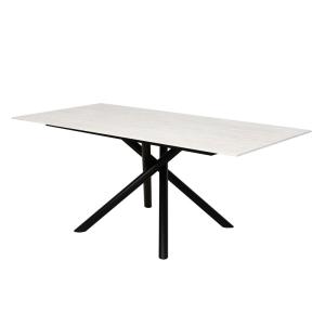 1800*900mm Ceramic Material Dining Table With Fixed Type Black Metal Leg