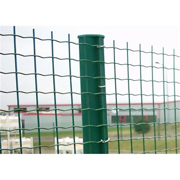 Europe standard factory supply cheap price Pvc Coated Holland Euro Welded Wire