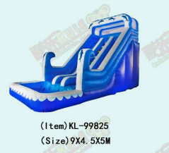 Aldult Outdoor Rental Inflatable Large Water Slides With Bouncy