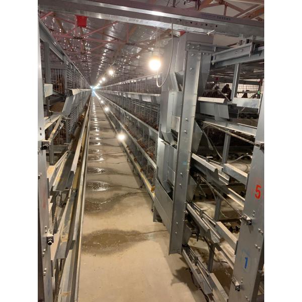 Poultry 6 Tiers H Type Layer Bird Cage 192 Birds / Set corrosion resistance
