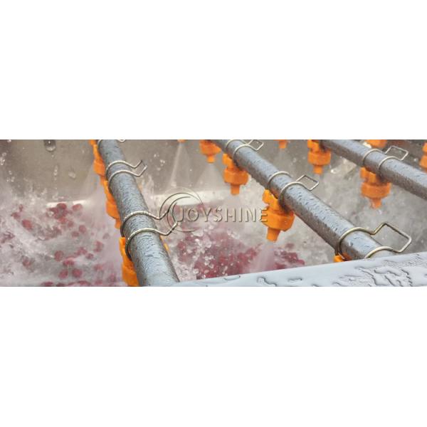 Small Scale Automatic Vegetable Bubble Washing and Sorting Machine with Long Service Life