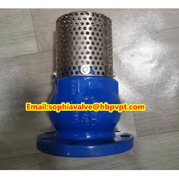 PN10 or PN16 cast iron flanged foot valve Supplier