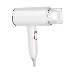 Customizable Hair Dryer with 200 Million Negative Ions and 21000RPM Brushless DC