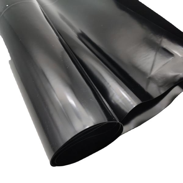 Black HDPE Geomembrane for Fish Dam Pond Liner in Chinese Design Style and 0.1