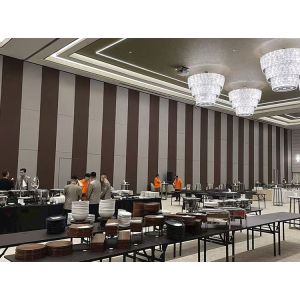 Customizable Dimensions Sound Proof Partitions with 6061-T6 Profiles and Q235