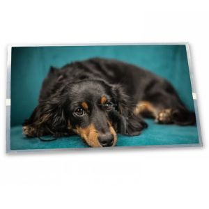 Wholesale TMT035DNAFWU24-2 3.5 inch 320*240 navigation lcd tft lcd module cheap price lcd screen TFT Gold supplier from china suppliers