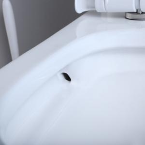 1-Piece 1.1 Gpf/1.6 Gpf High Efficiency Dual Flush Elongated All-In-One Toilet