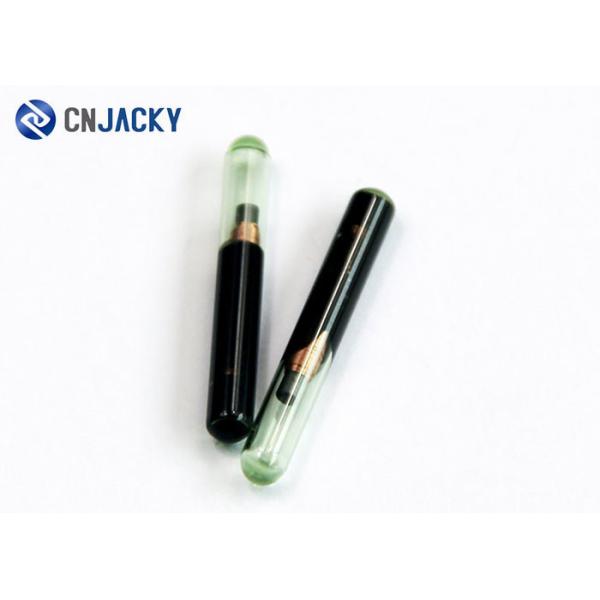 Pets Dog / Cat / Animals Rfid Transponder Implantable Microchip With Syringe