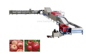 Wholesale Automatic Electronic Fruit Washing And Waxing Machine 5MT/H from china suppliers