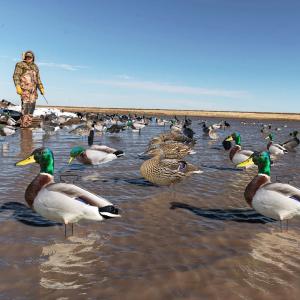 Waterproof PP Board Mallard Duck Silhouette Decoys Anti Reflective Design 20"