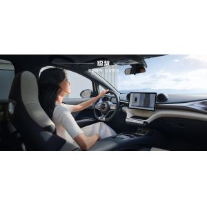 BYD 2025 Dolphin 520km Knight Edition EV