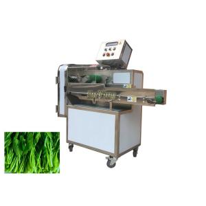 Leafy Vegetable Processing Equipment Green Onion Cabbage Cutter Machine