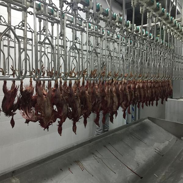 Automatic chicken slaughtering machine chicken skin peeling equipment