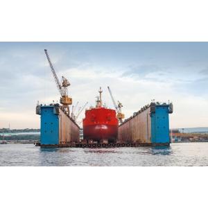 10 Tons Level Luffing Floating Dock Portal Cranes Customized