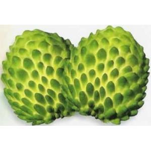 Manufacturer Supply Graviola Soursop Extract 4:1 for fruit juice application