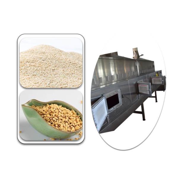 High Efficiency Conveyor Belt Agriculture Microwave Sterilization Machine