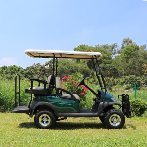 High Quality Electric Golf Carts With Better Climbing Ability