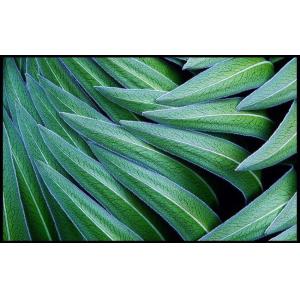 Symmetry Laptop 14 Inch LCD Display 1920x1080 Active Area 309.31x173.99mm