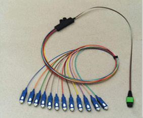 Ribbon 8, 12, 24 Fibers For LAN, WAN Optical Fiber Patch Cord With Double Shield