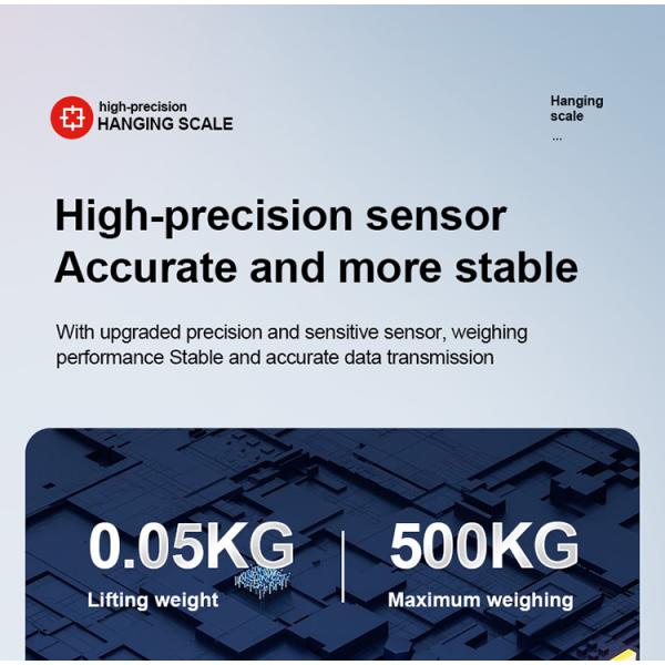 500kg Electronic Hook Scale Digital Display Electronic Scale Lifting Weight Direct View Electronic Scale