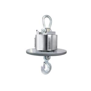 Digital Calibration Electronic Crane Scale 10T