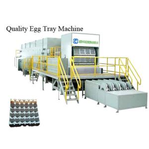 Pulp Plastic Egg Tray Making Machine