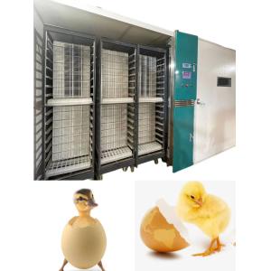 Automatic Large Scale Chicken Egg Hatching Machine Hatching Rate 98%