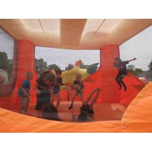 PVC Coated Cartoon Tiger Inflatable Bouncer Castle Blow Up Jumping Castle