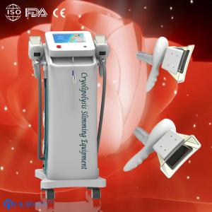Fat Freeze Cryolipolysis Slimming Machine With Touch Color Screen For Spa