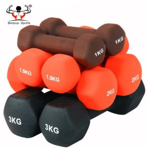 Strength Training Dumbbell For Ladies , Wear Resistant Cast Iron Dumbbells
