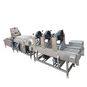 High Efficiency Salad Vegetable Processing Line For Celery And Cabbage