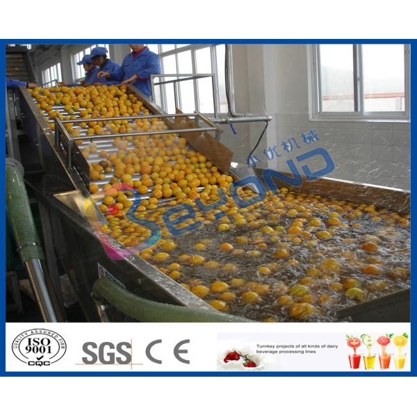 Surfing Type Fruit And Vegetable Washer Machine / Fruit And Vegetable Cleaning Machine